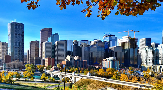 Calgary parent image
