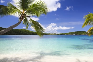 Caribbean
