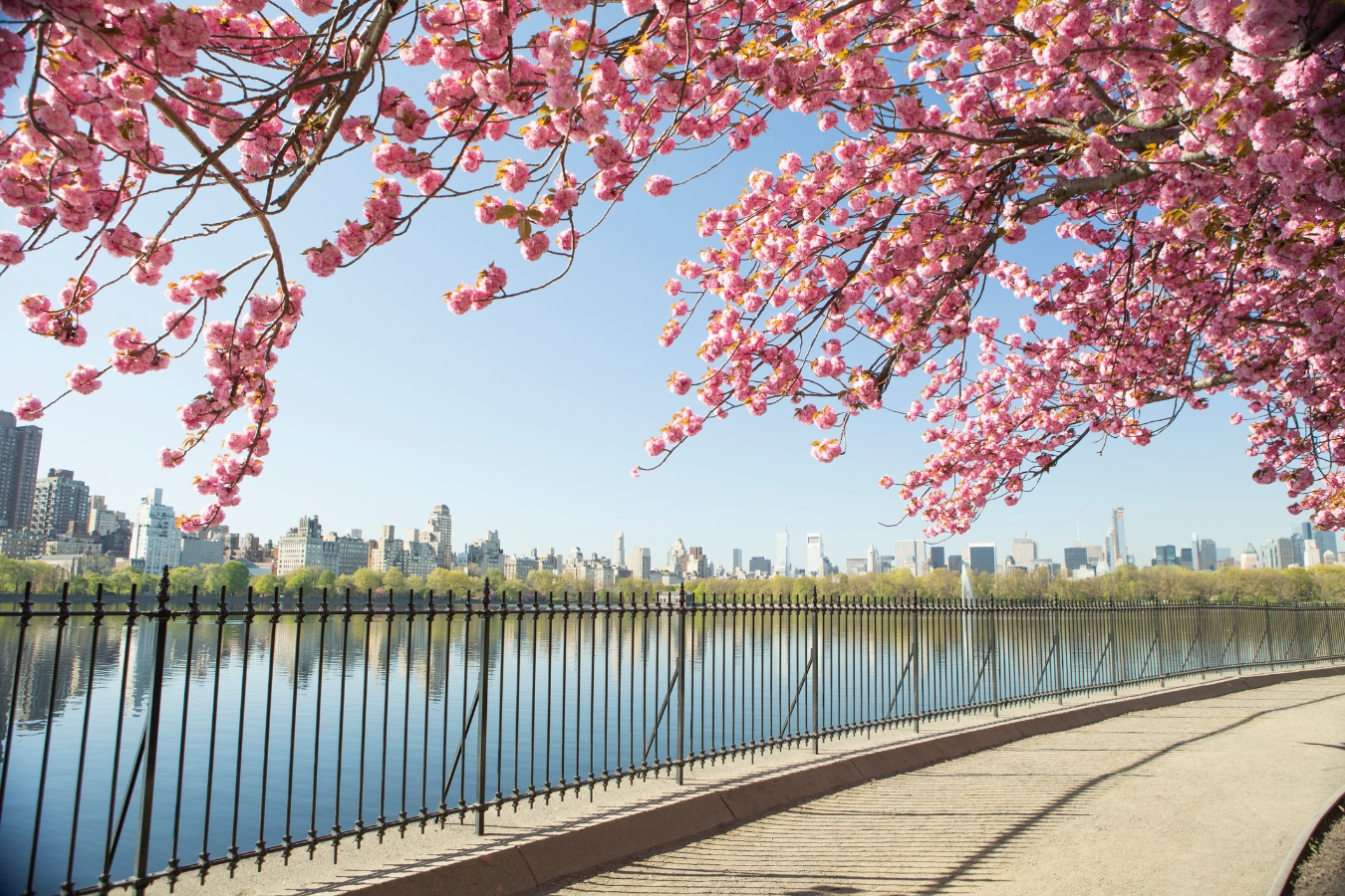 New York Holidays 2025/2026 New York City Breaks Virgin Atlantic