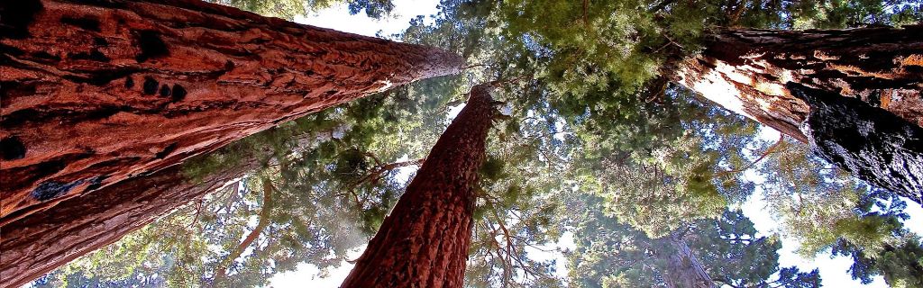 Sequoia, Kings Canyon & Death Valley holidays