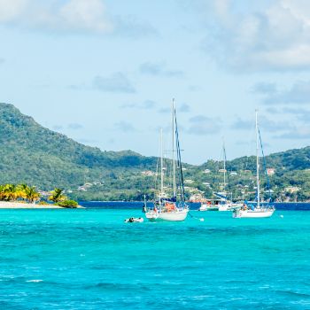 Caribbean Sailing