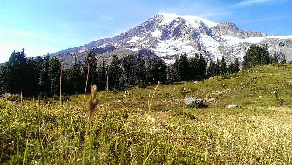 Mount Rainier offers exceptional hiking opportunities during the summer months
