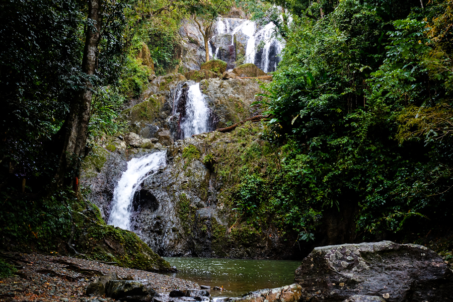 The Argyl Waterfall on the edge of the forest. 